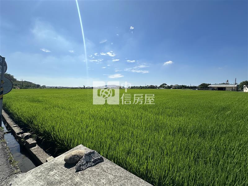 外埔區臨路稻田農地房屋室內格局與周邊環境