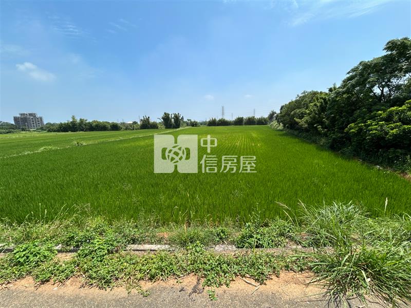 觀音-休閒農業區農地房屋室內格局與周邊環境
