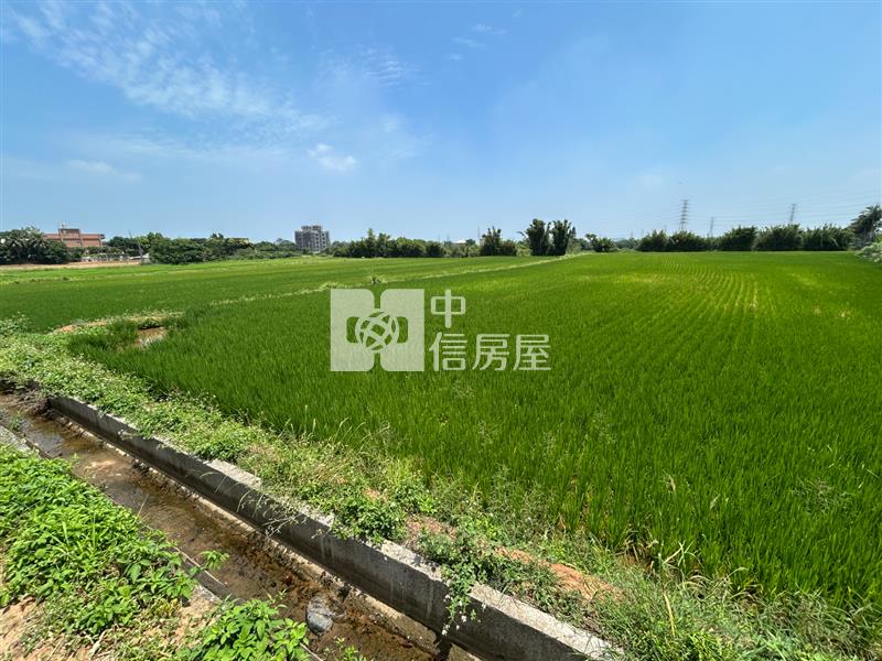 觀音-休閒農業區農地房屋室內格局與周邊環境