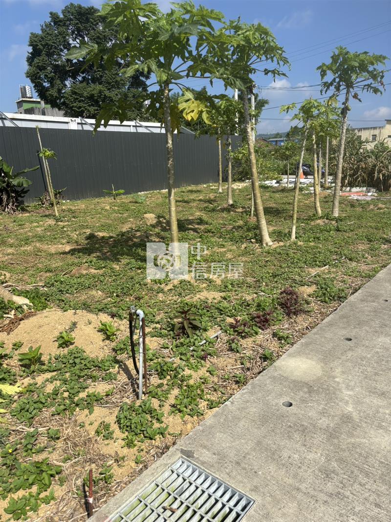 龍潭小坪數雙面臨路農地房屋室內格局與周邊環境