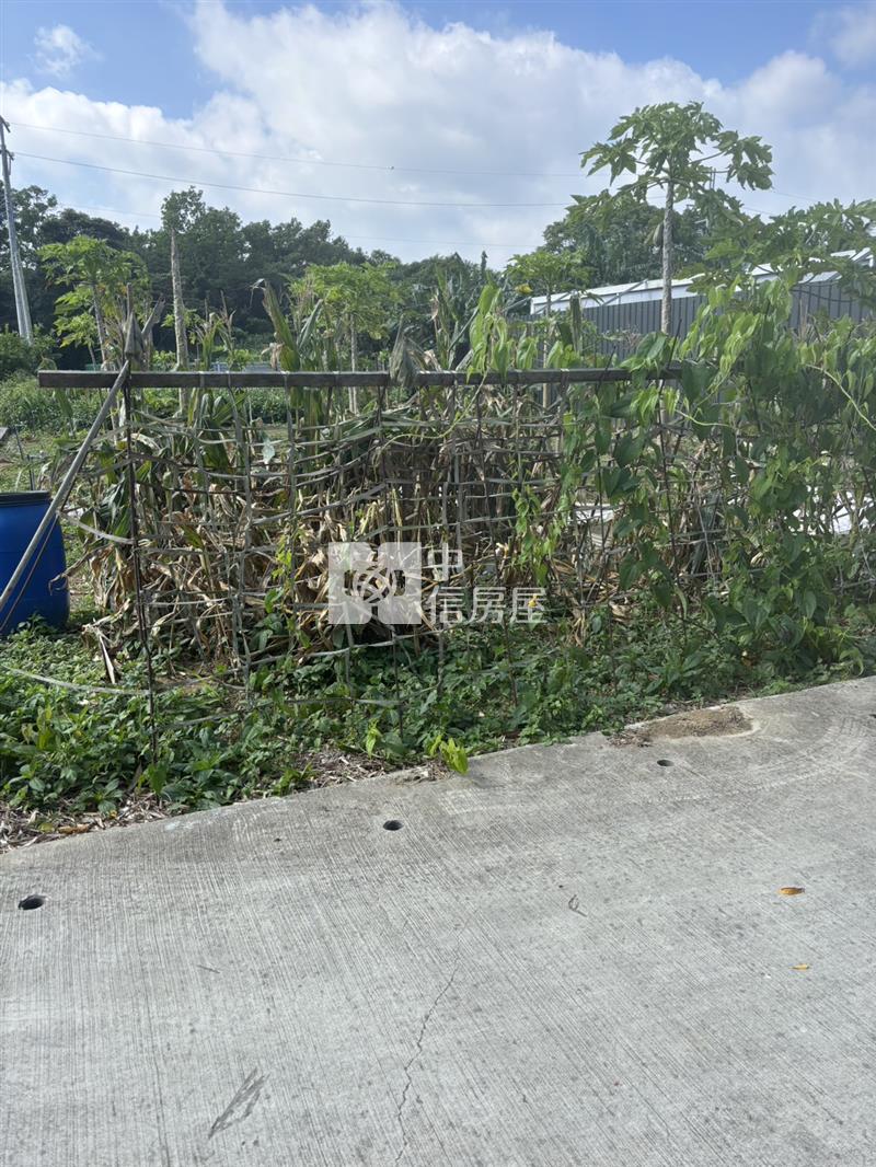 龍潭小坪數雙面臨路農地房屋室內格局與周邊環境