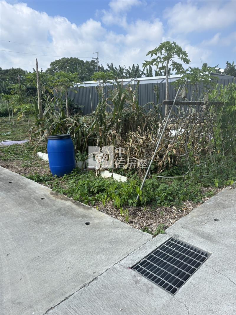 龍潭小坪數雙面臨路農地房屋室內格局與周邊環境