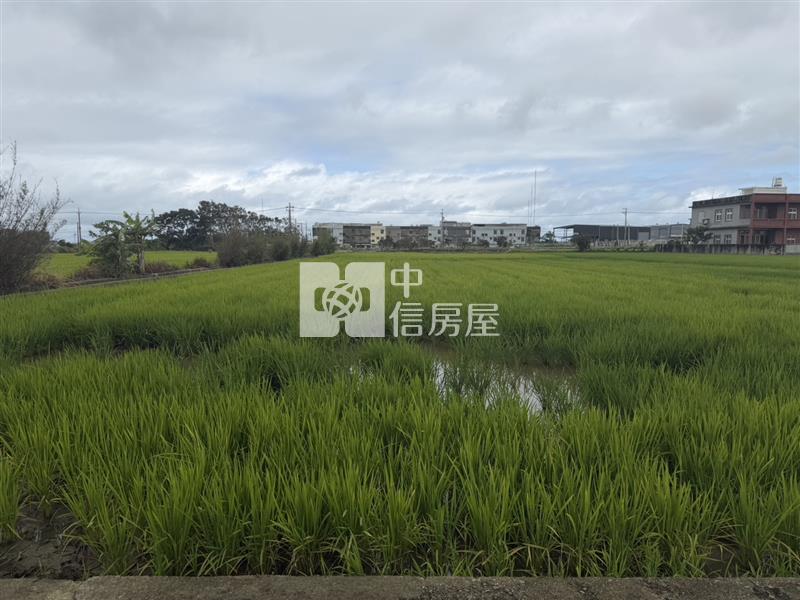 新豐新庄子美農地-1房屋室內格局與周邊環境
