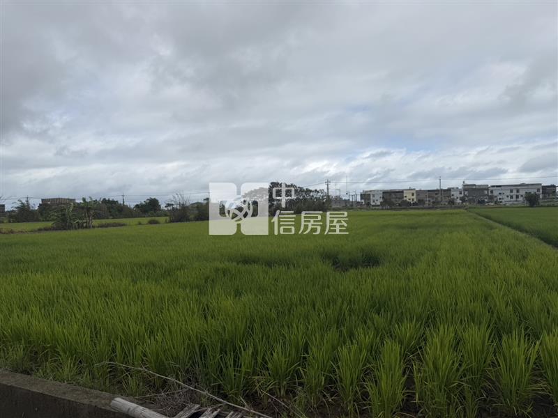 新豐新庄子美農地-3房屋室內格局與周邊環境