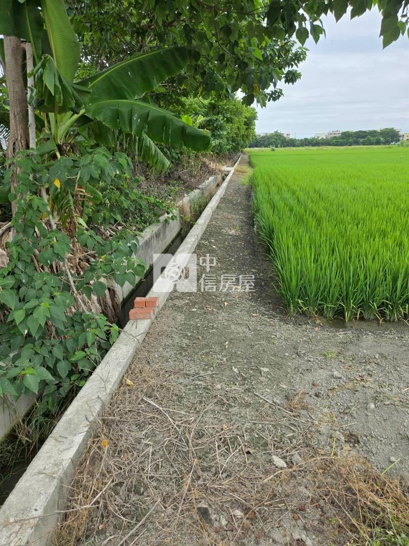 福興合法農舍農地房屋室內格局與周邊環境