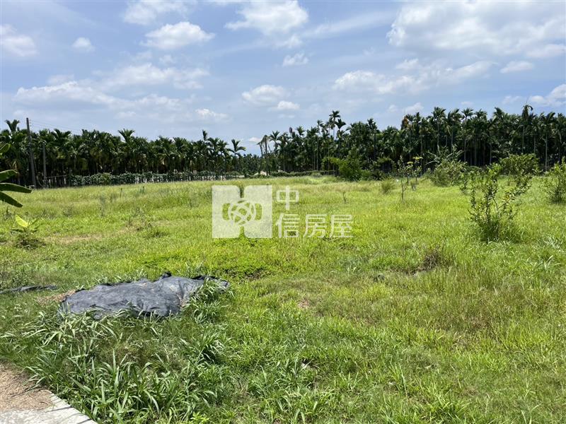 屏東近義大醫院農地房屋室內格局與周邊環境