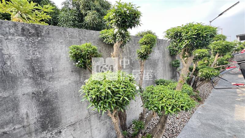 屏東土地-萬丹馬茶花農舍房屋室內格局與周邊環境