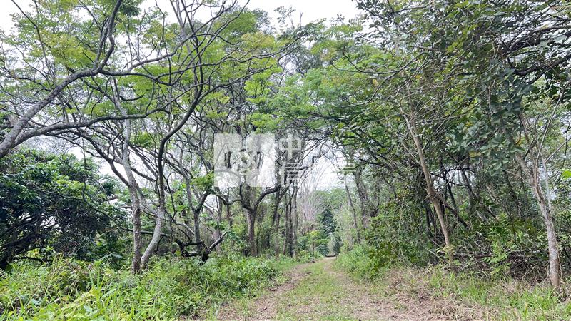 屏東土地-沿山公路森林農舍房屋室內格局與周邊環境
