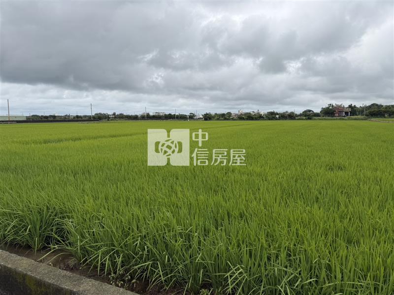 近新屋東明國小美農地房屋室內格局與周邊環境