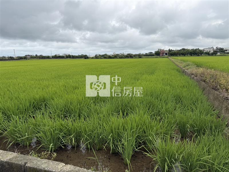 近新屋東明國小美農地房屋室內格局與周邊環境