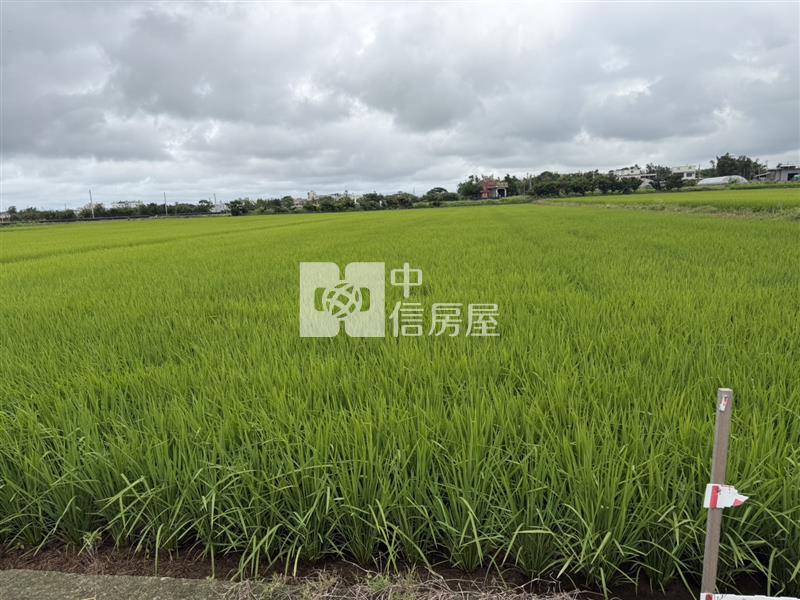 近新屋東明國小美農地房屋室內格局與周邊環境