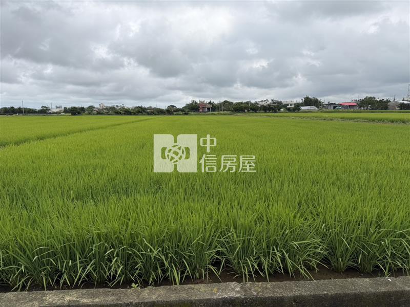 近新屋東明國小美農地房屋室內格局與周邊環境