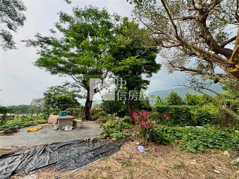 稀有角間【亞歷山大】5房房屋室內格局與周邊環境