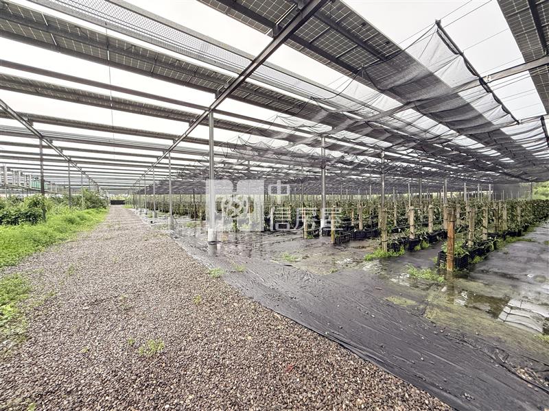 內埔太陽能收租農地2甲6分6厘房屋室內格局與周邊環境