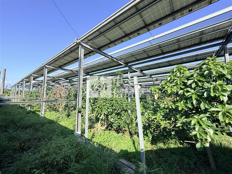 內埔太陽能收租農地2甲6分6厘房屋室內格局與周邊環境