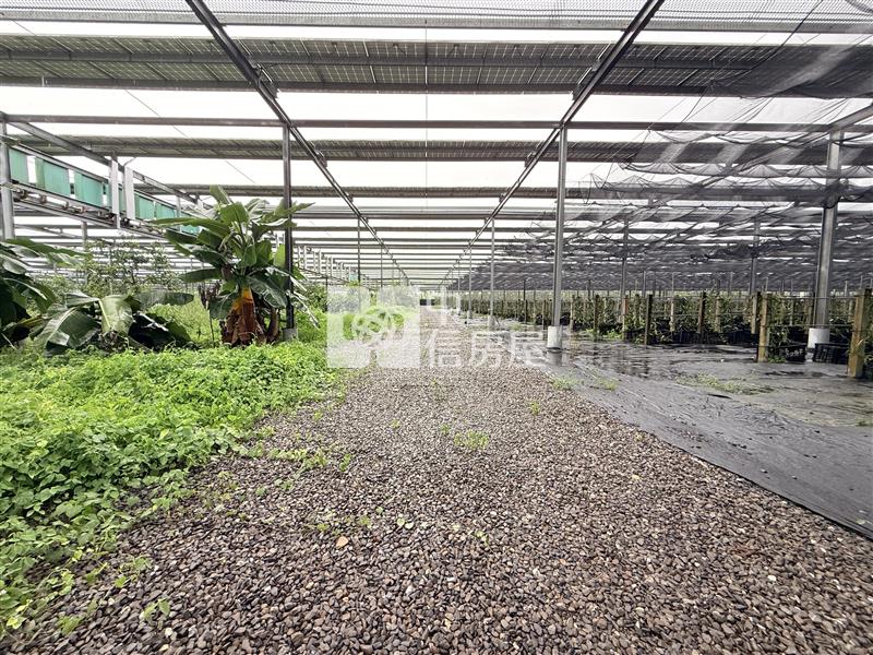內埔太陽能收租農地2甲6分6厘房屋室內格局與周邊環境