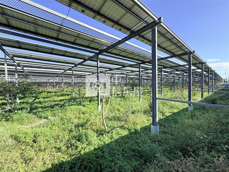 內埔太陽能收租農地2甲6分6厘