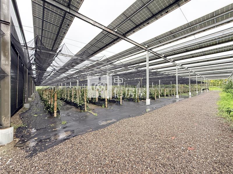 內埔太陽能收租農地2甲6分6厘房屋室內格局與周邊環境