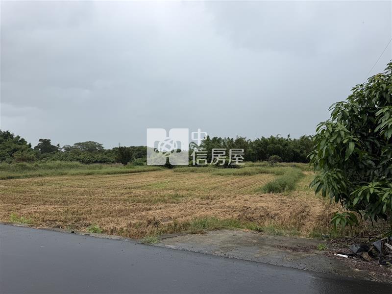 南科外溢首選!國8交流道旁雙面路方正美地房屋室內格局與周邊環境