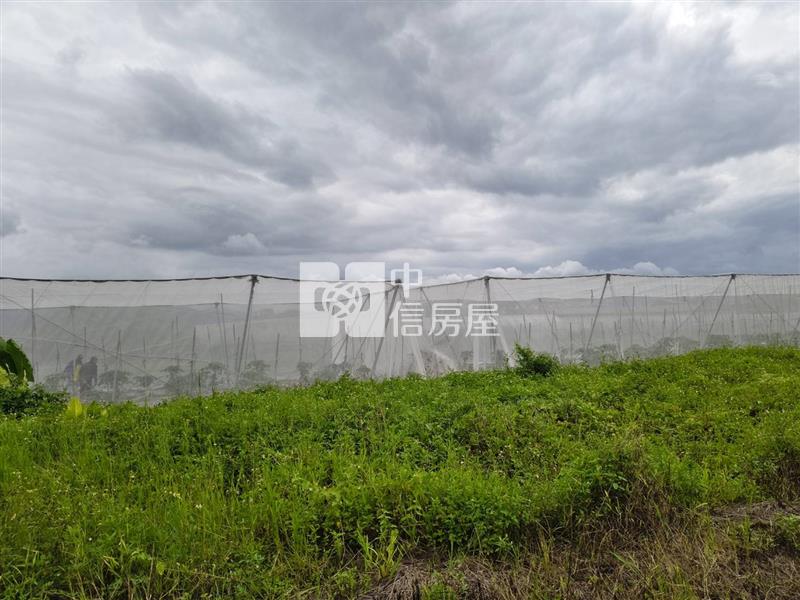 中心大面寬Ⅱ房屋室內格局與周邊環境