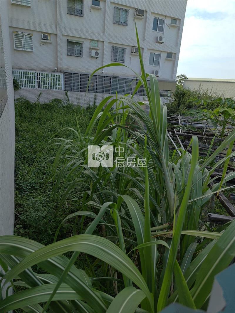 龍王段己重劃金三角裡建地房屋室內格局與周邊環境