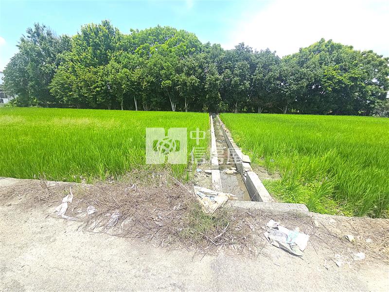 芬園茄荖國小旁6米路方正農地房屋室內格局與周邊環境