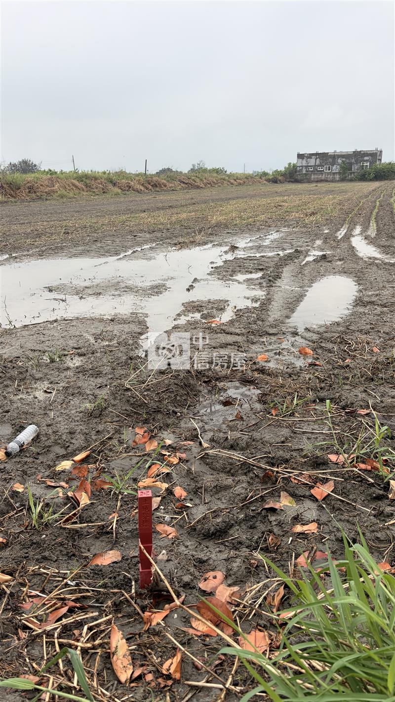 雲林口湖15米大道|2.7分農地房屋室內格局與周邊環境