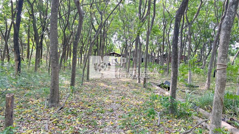 屏東土地"內埔無患子農舍"房屋室內格局與周邊環境
