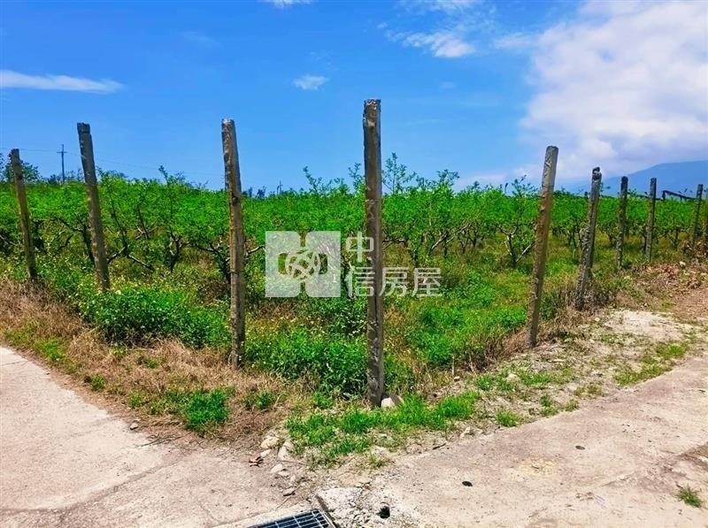 J1-48太麻里一般農業區農地(專任)房屋室內格局與周邊環境