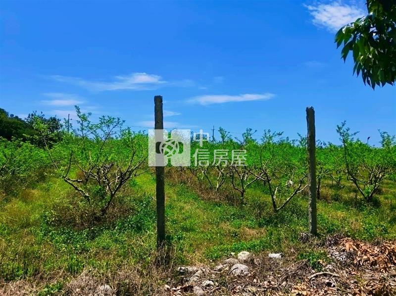 J1-48太麻里一般農業區農地(專任)房屋室內格局與周邊環境