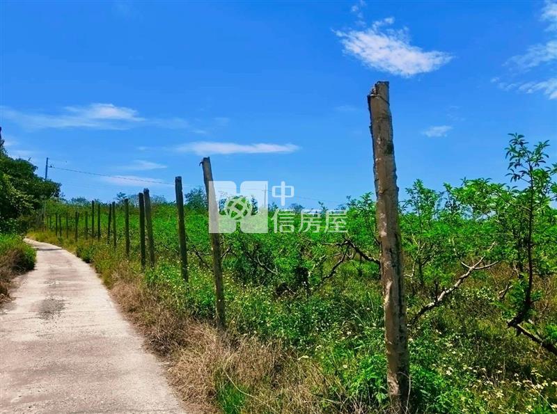 J1-48太麻里一般農業區農地(專任)房屋室內格局與周邊環境