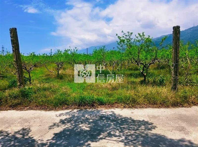 J1-48太麻里一般農業區農地(專任)房屋室內格局與周邊環境