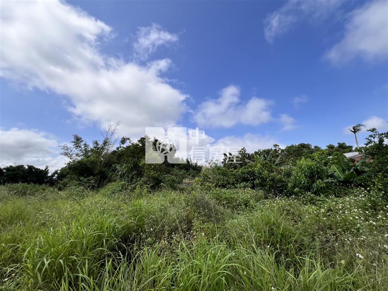 桃機A19樂天棒球場甲建房屋室內格局與周邊環境