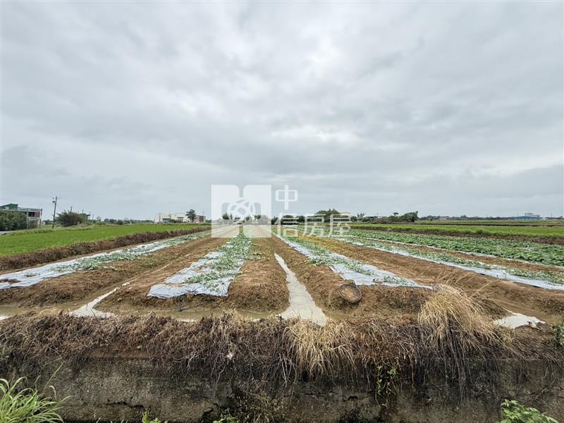 觀音保興路農地房屋室內格局與周邊環境