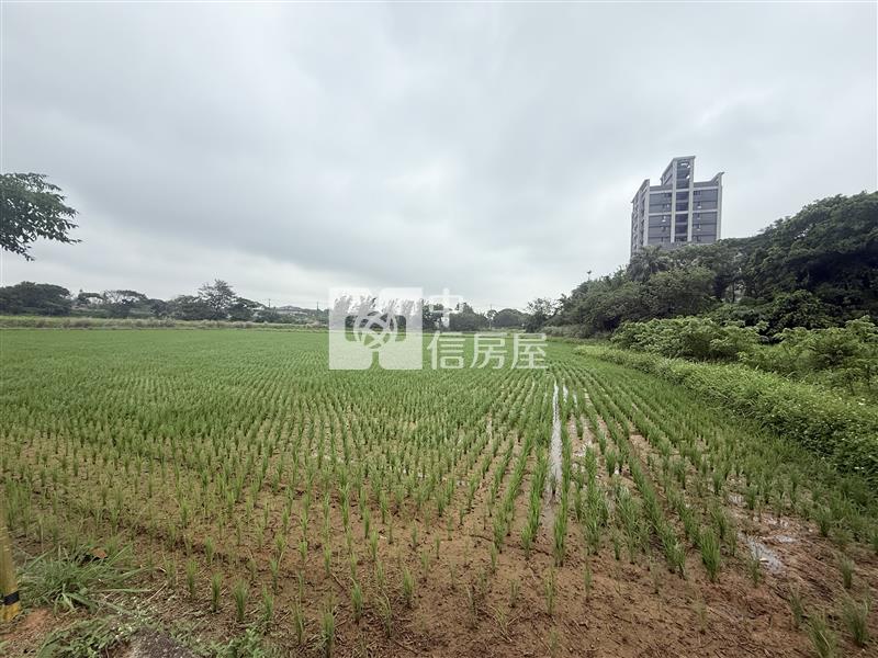 觀音藍埔農地(附合法農舍)房屋室內格局與周邊環境