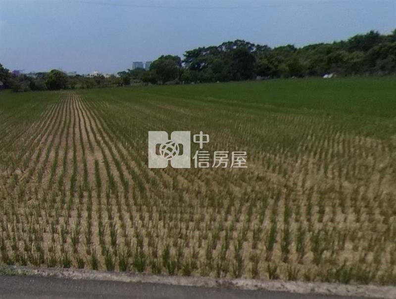 A20近青埔美田房屋室內格局與周邊環境