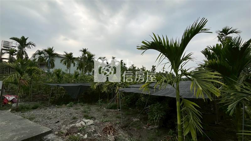 鹽埔仕絨段8米路旁方正農地*專約*房屋室內格局與周邊環境
