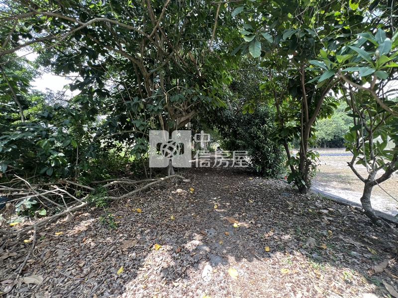 屏東土地-高樹舊寮2.5分超值美田房屋室內格局與周邊環境