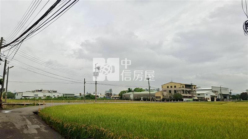 稀有釋出! 夏田產區甲種建地房屋室內格局與周邊環境