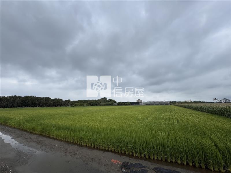 施厝寮段大面積農地房屋室內格局與周邊環境
