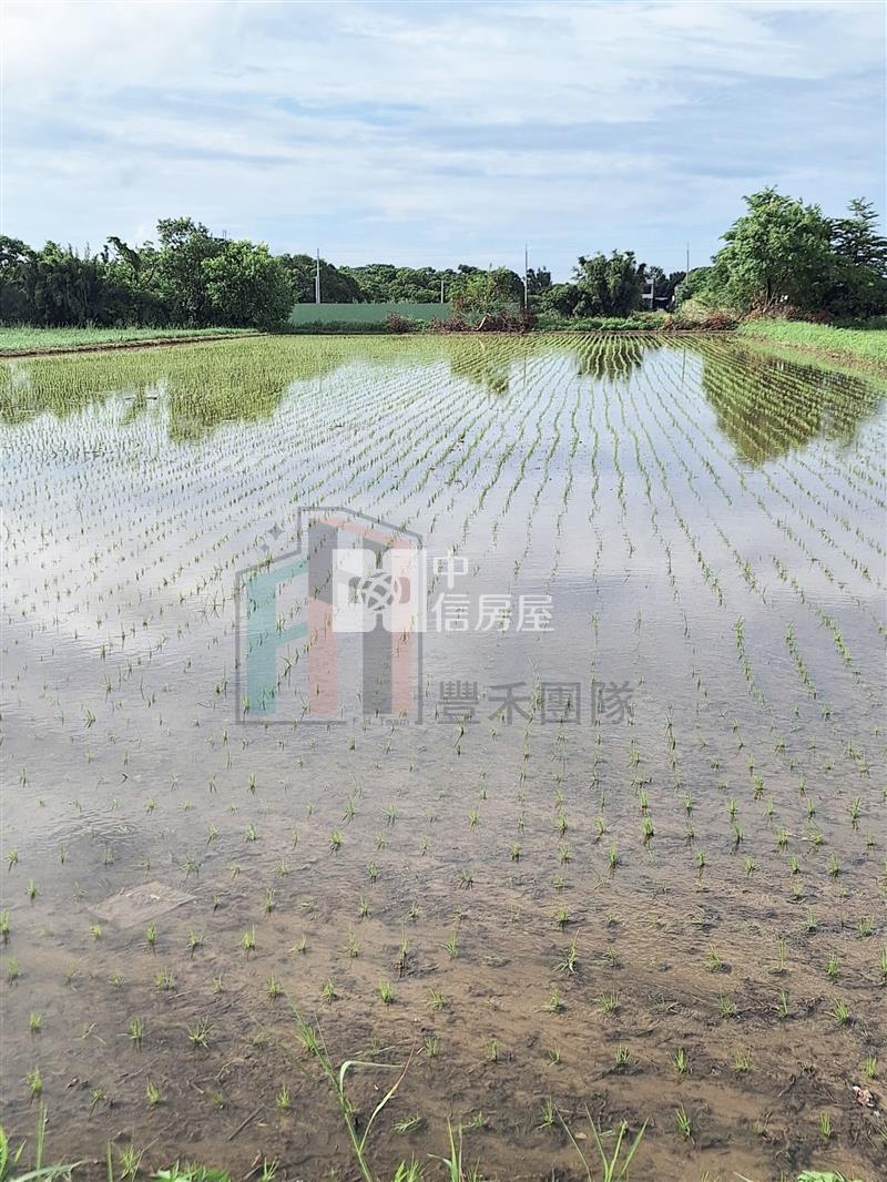 【豐禾】楊富段方正美農地房屋室內格局與周邊環境