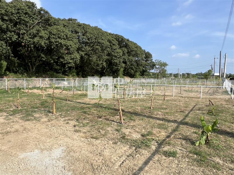 六甲84坪小資休閒農場(可水電)房屋室內格局與周邊環境