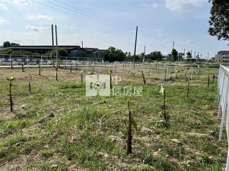 六甲84坪小資休閒農場(可水電)房屋室內格局與周邊環境