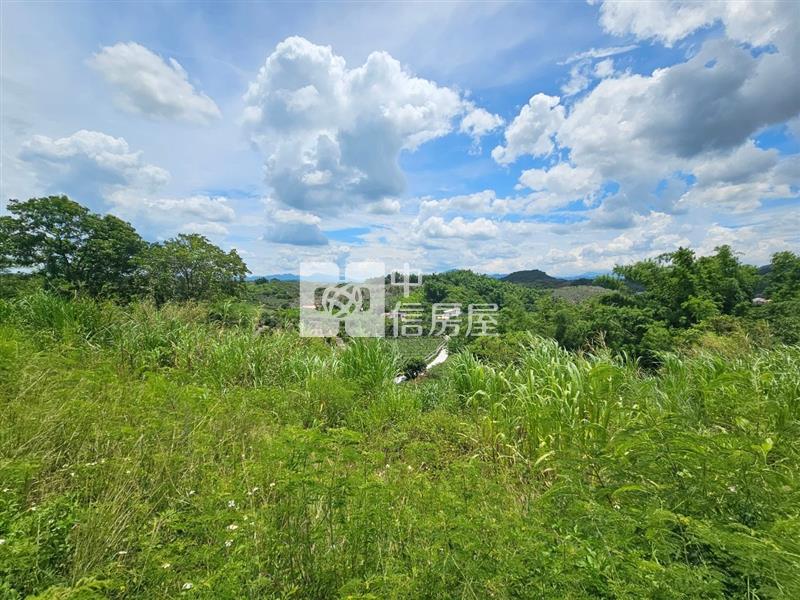 南化市區旁優美山坡地房屋室內格局與周邊環境