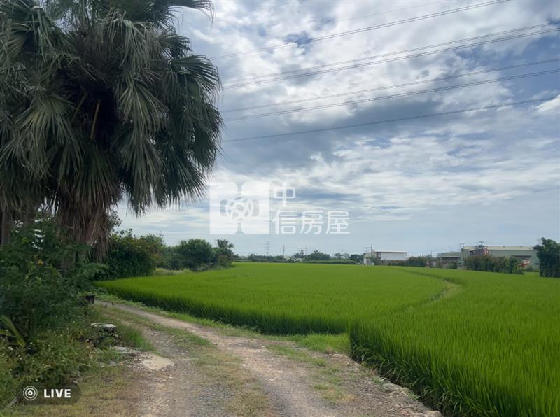 (專)高鐵南路七段美農地(分管)-6號房屋室內格局與周邊環境
