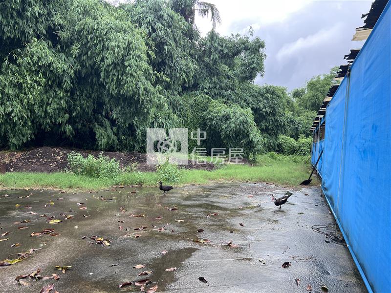 知義都內6.2分農地送房舍房屋室內格局與周邊環境