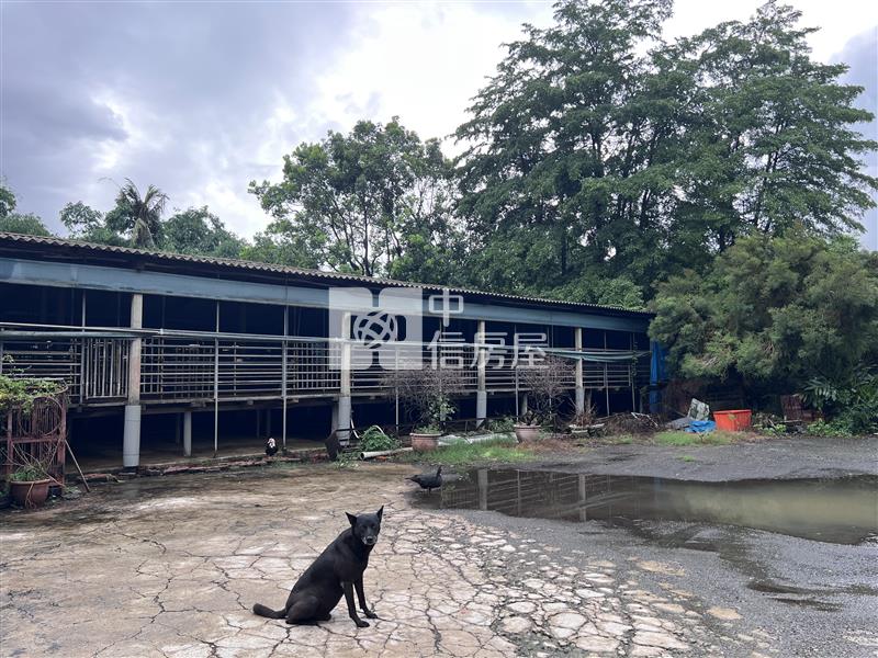 知義都內6.2分農地送房舍房屋室內格局與周邊環境