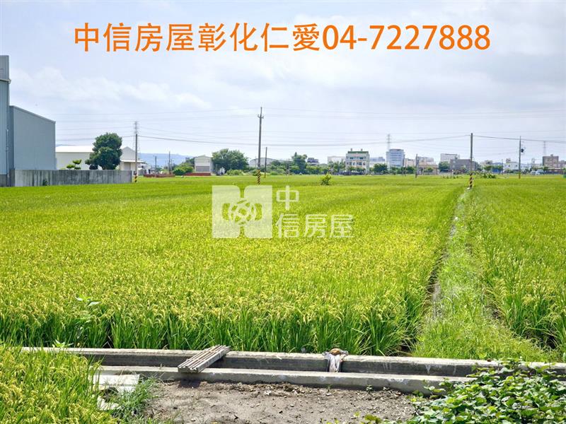 線西國中美田房屋室內格局與周邊環境