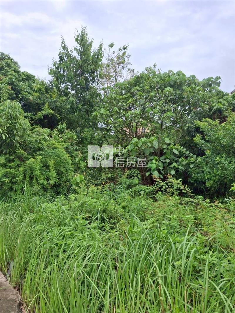 歸仁臨高鐵智慧科技大道有合法建物農地房屋室內格局與周邊環境