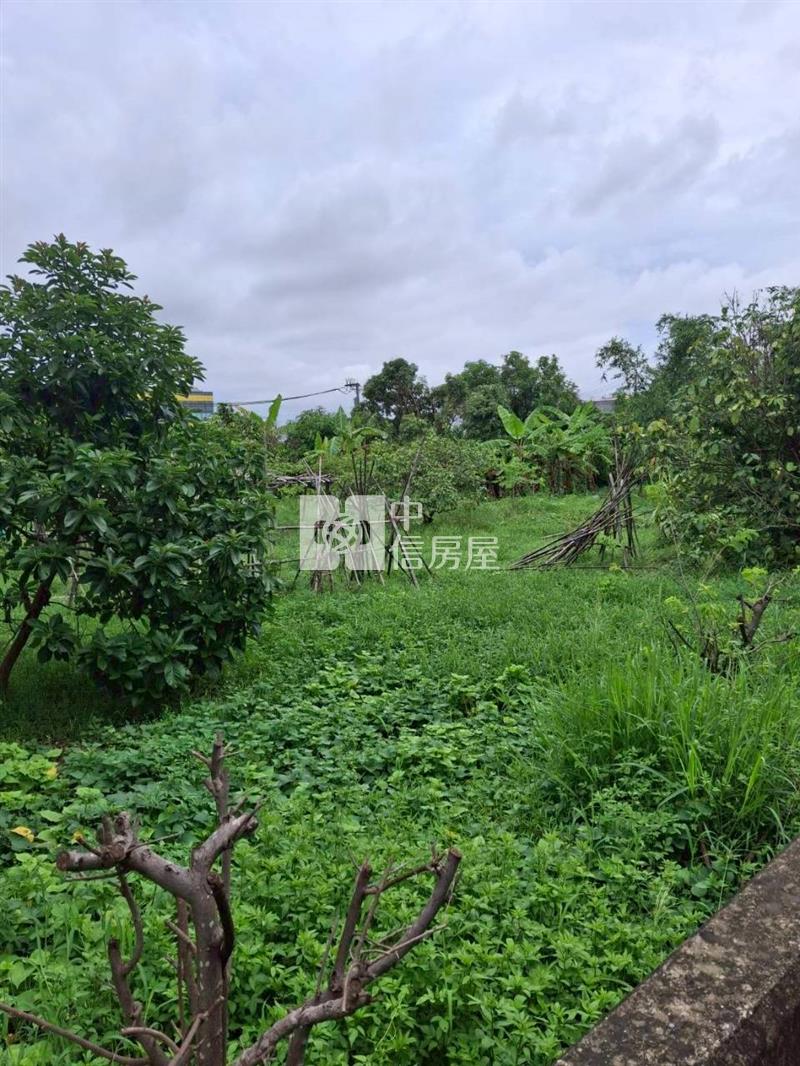 歸仁臨高鐵智慧科技大道有合法建物農地房屋室內格局與周邊環境